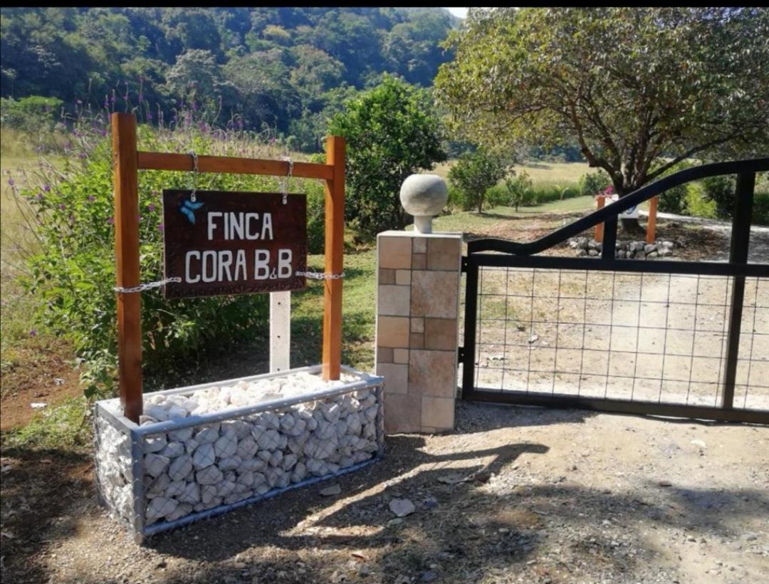 Casa Cora Bed And Breakfast Carmona 外观 照片