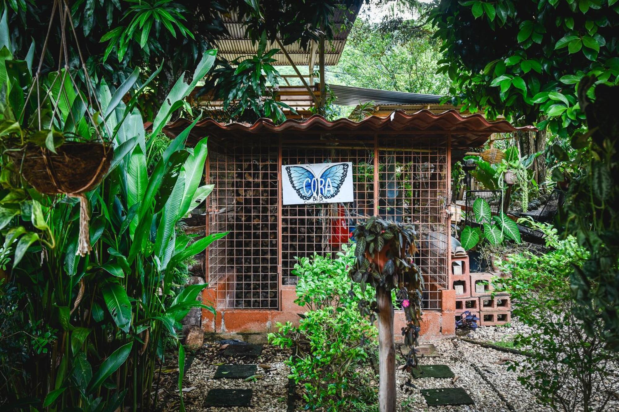 Casa Cora Bed And Breakfast Carmona 外观 照片