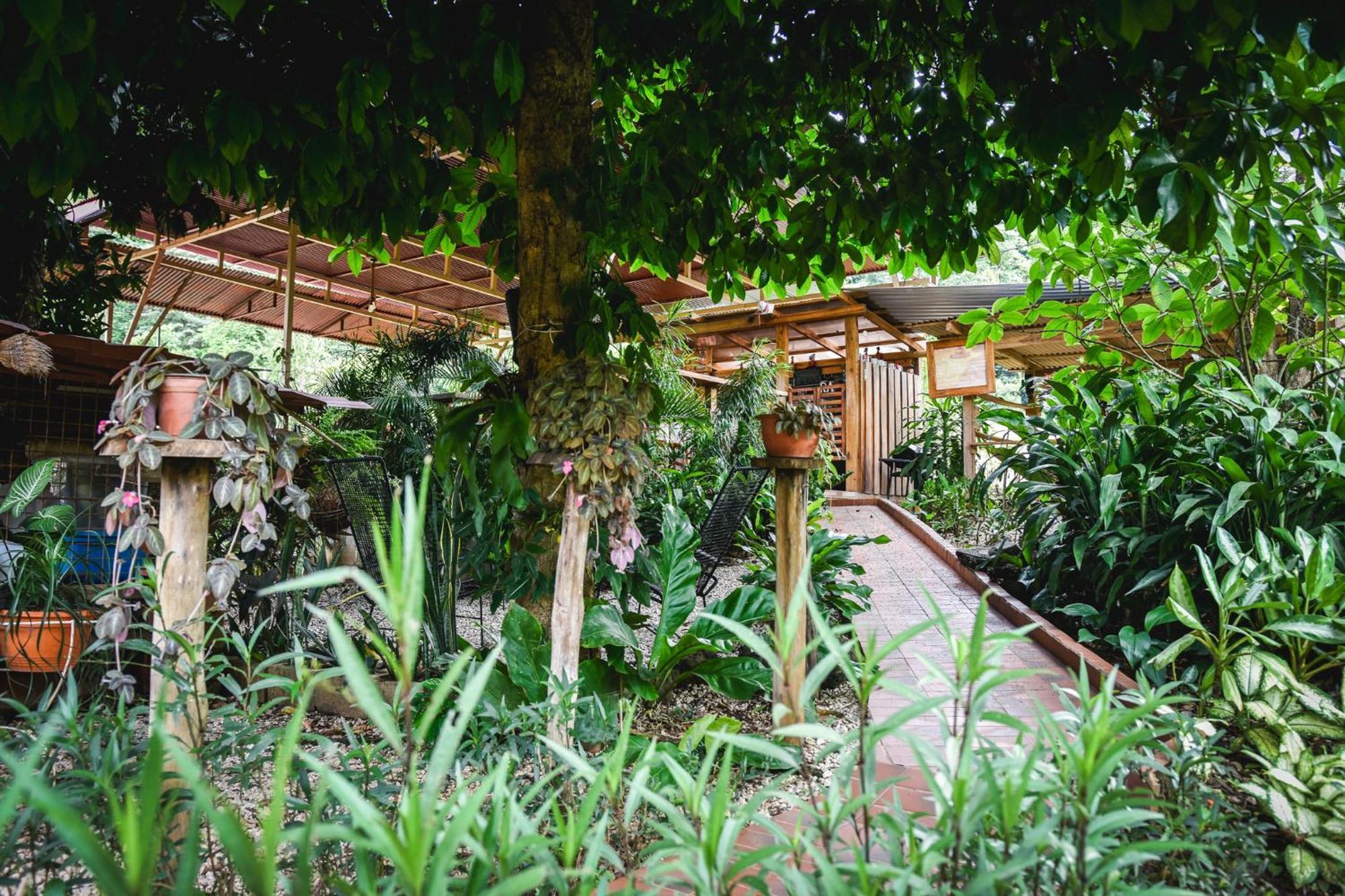 Casa Cora Bed And Breakfast Carmona 外观 照片