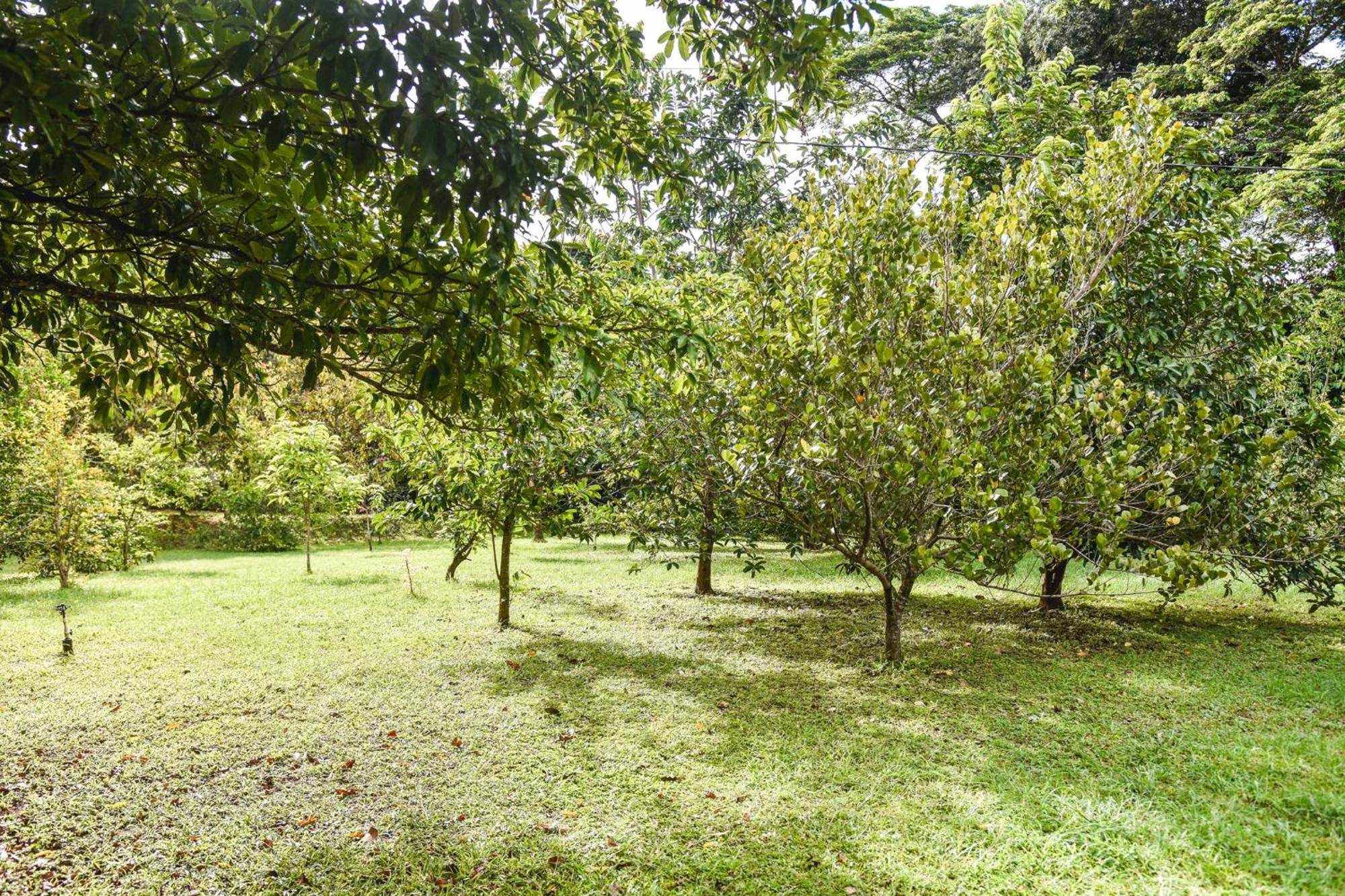 Casa Cora Bed And Breakfast Carmona 外观 照片